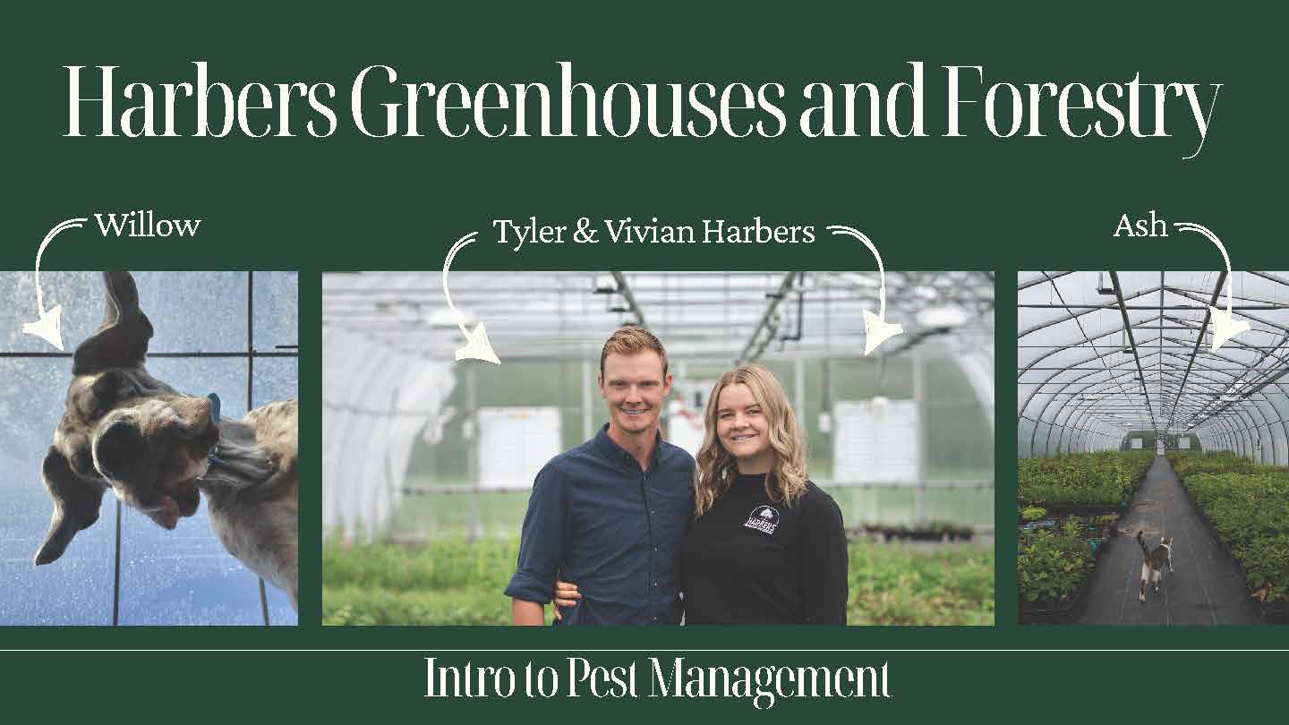 The Harbers family